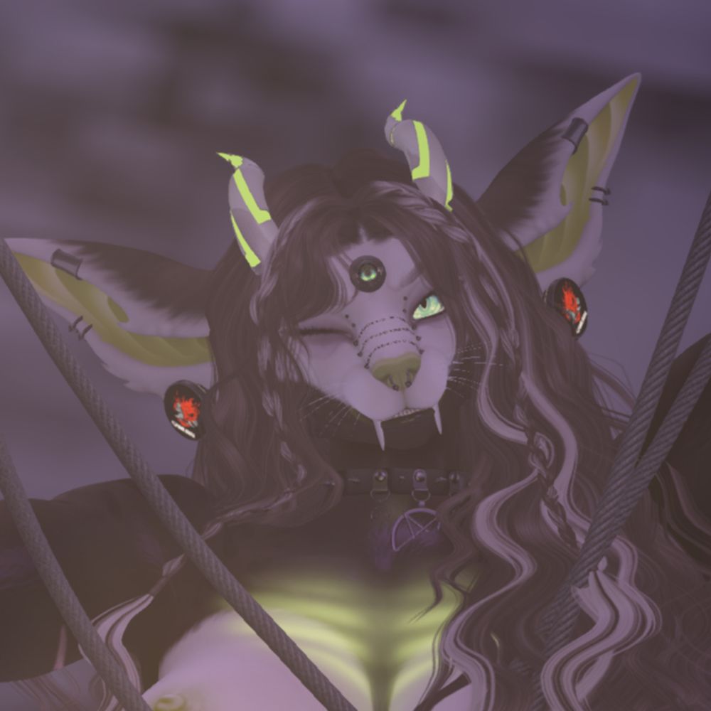 Voxxy