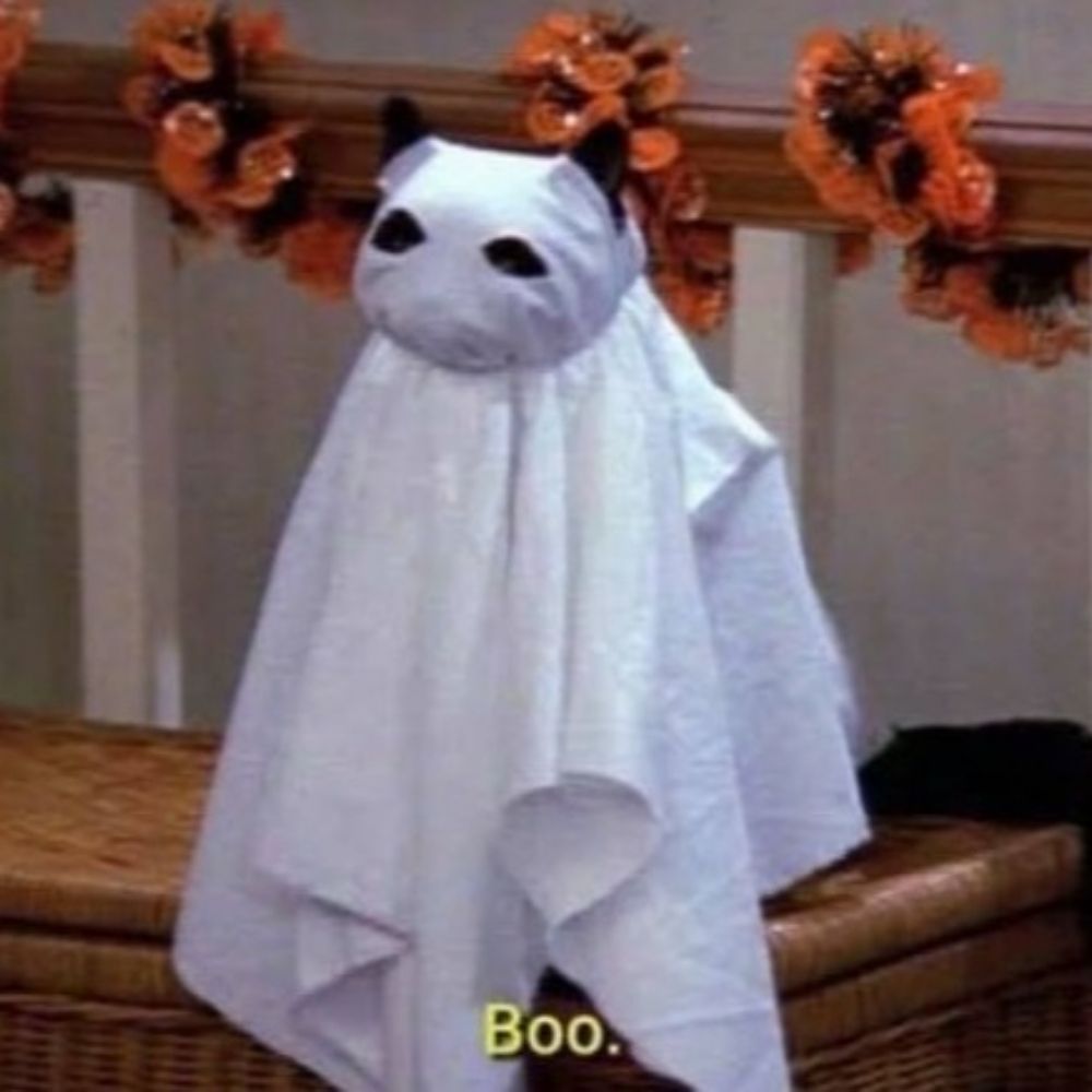 ﹕₊ ୨୧ 𝓛𝓮𝓸 𝓬𝓭𝓴 ˚ ‧₊✦ ꒰ ˊ˗