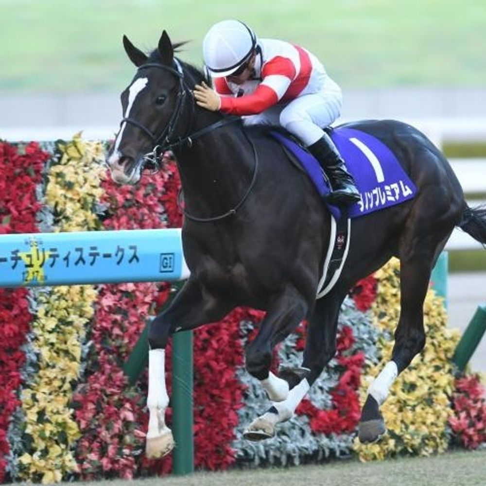 Tomy@競馬ブロガー