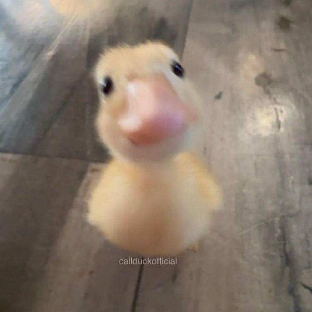 yaya