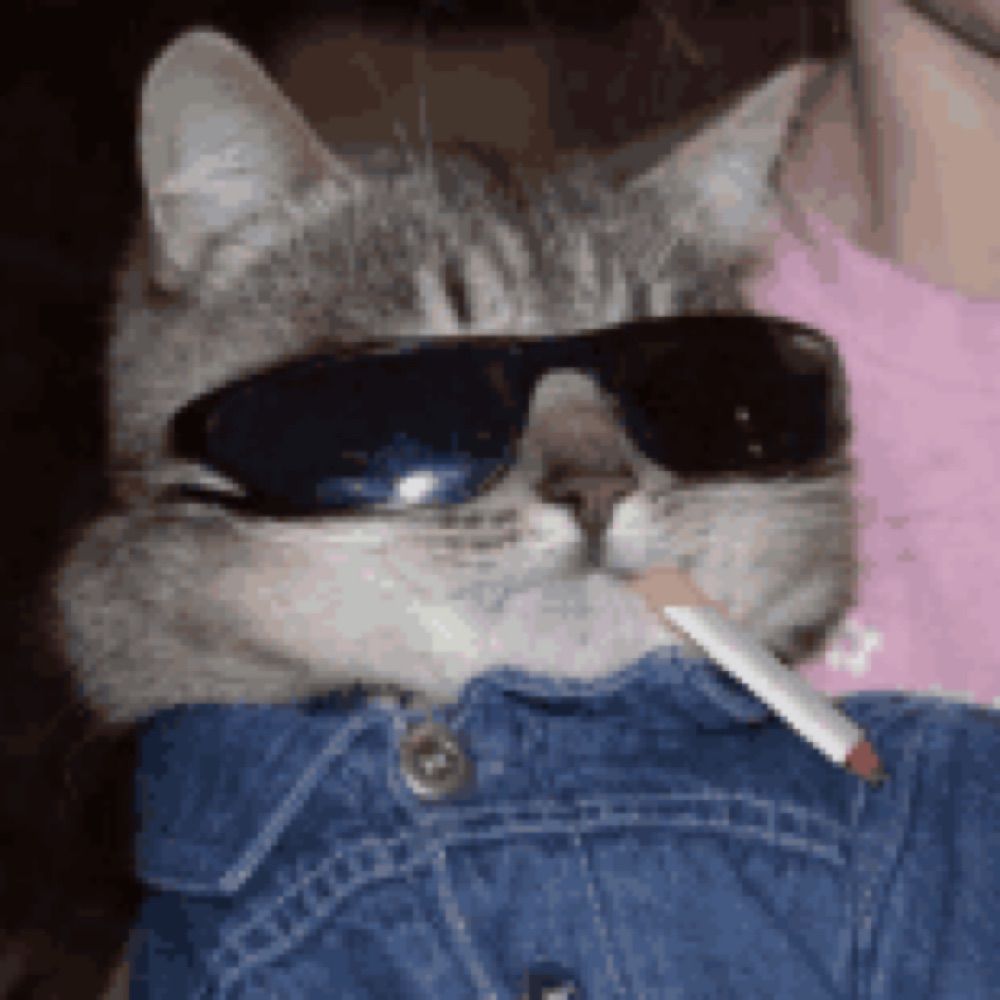 the cool Fellow