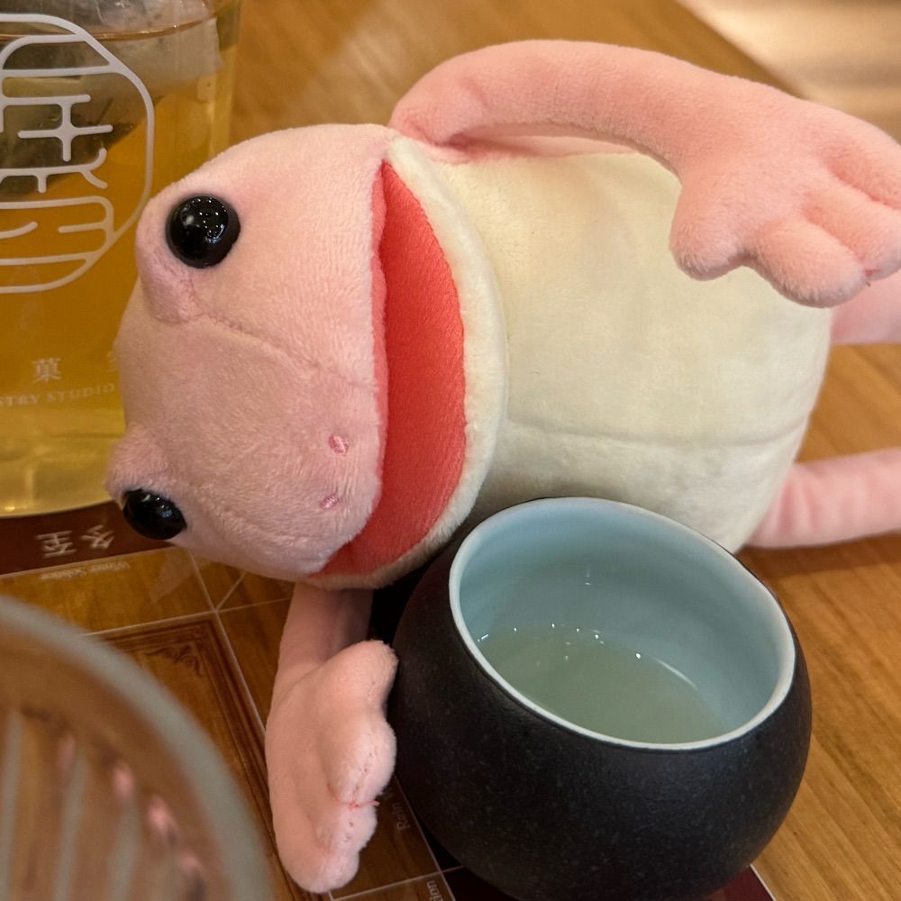 醉倒青蛙