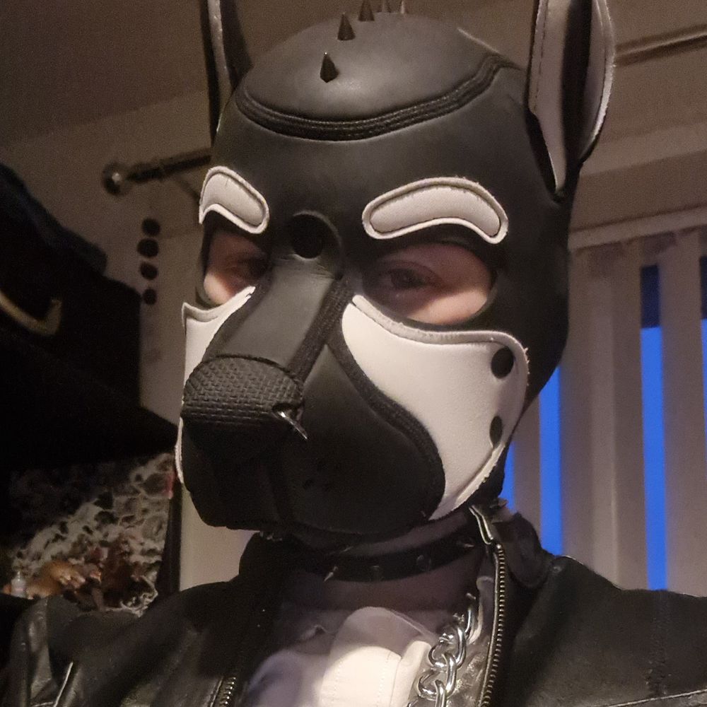 Pup Rubble Ignis🔞