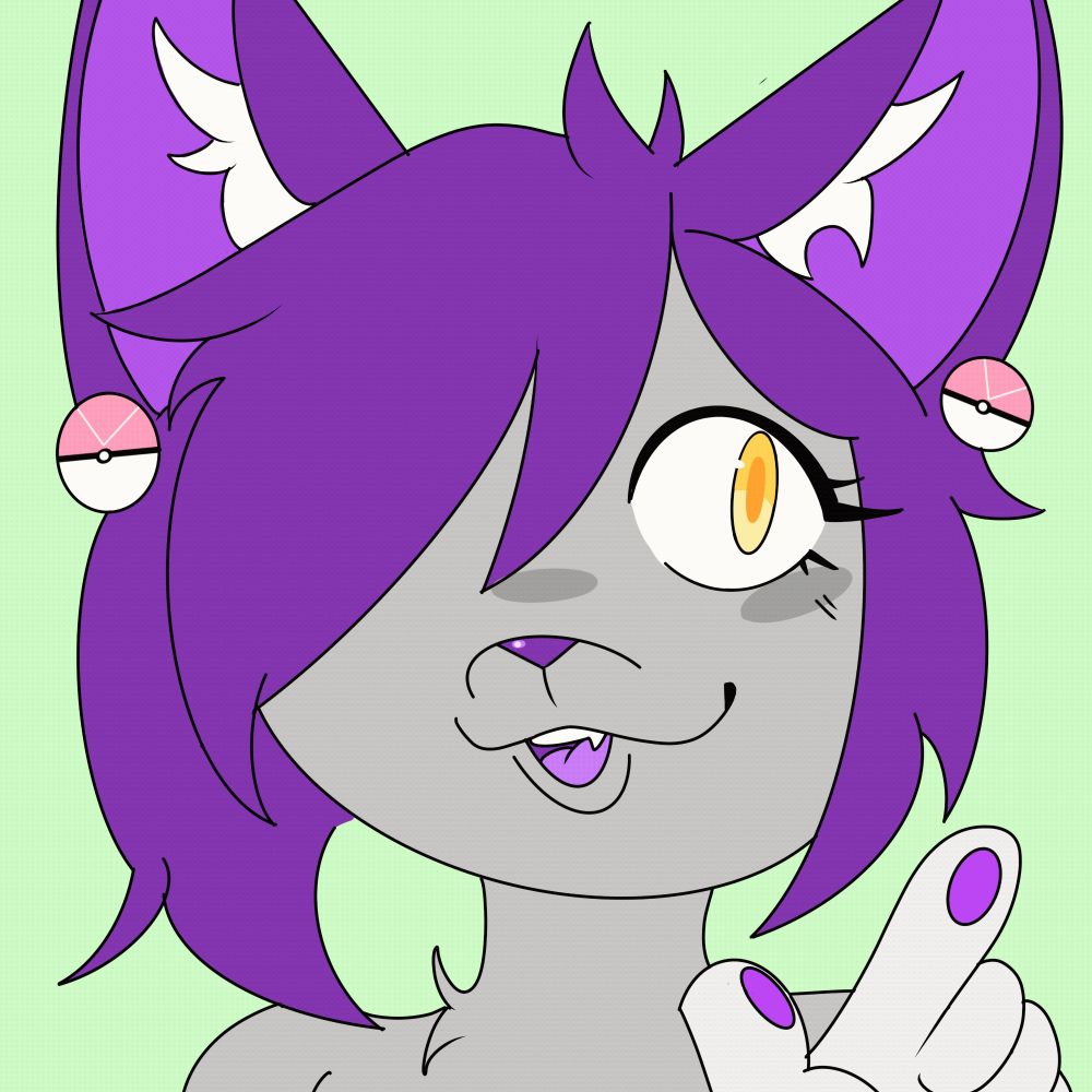 ash the fennec!