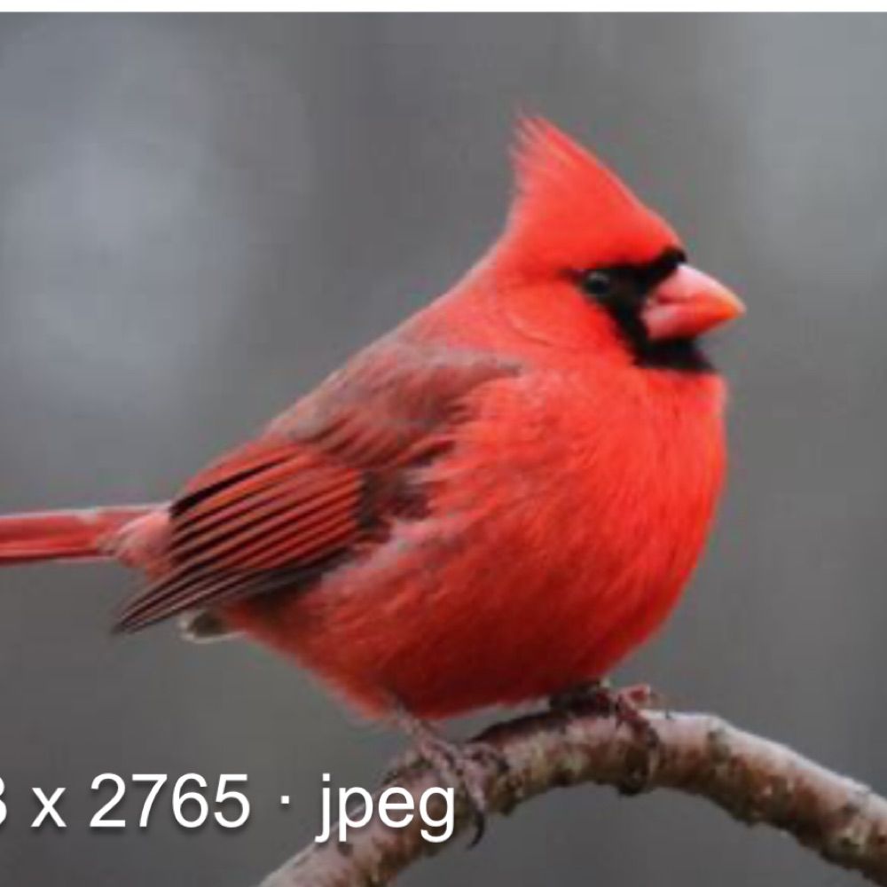 Mb