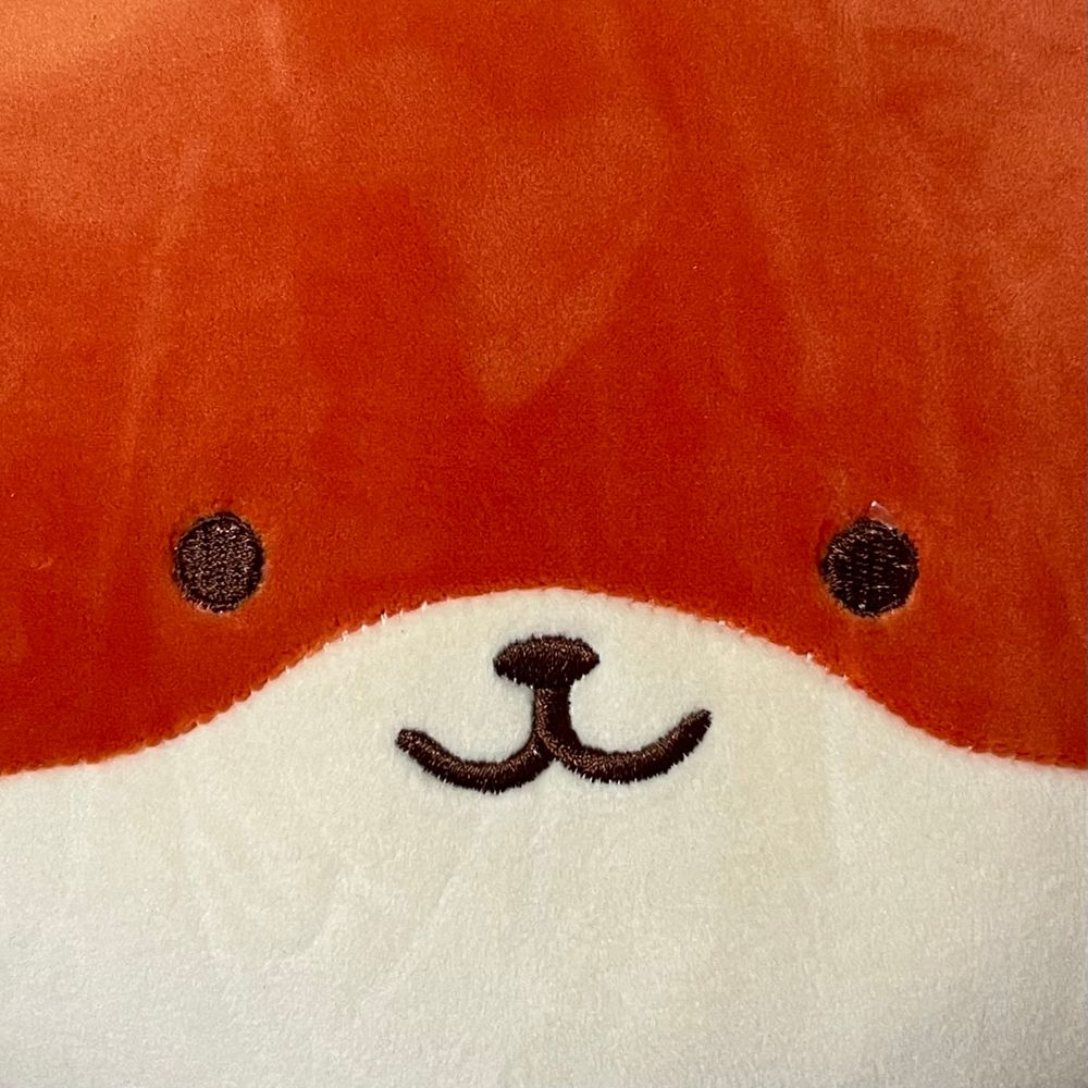 루카스 🦊