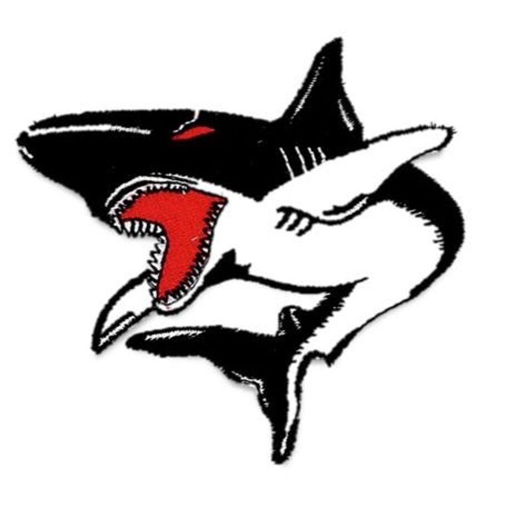 SteeljawScribe🇺🇸🦈