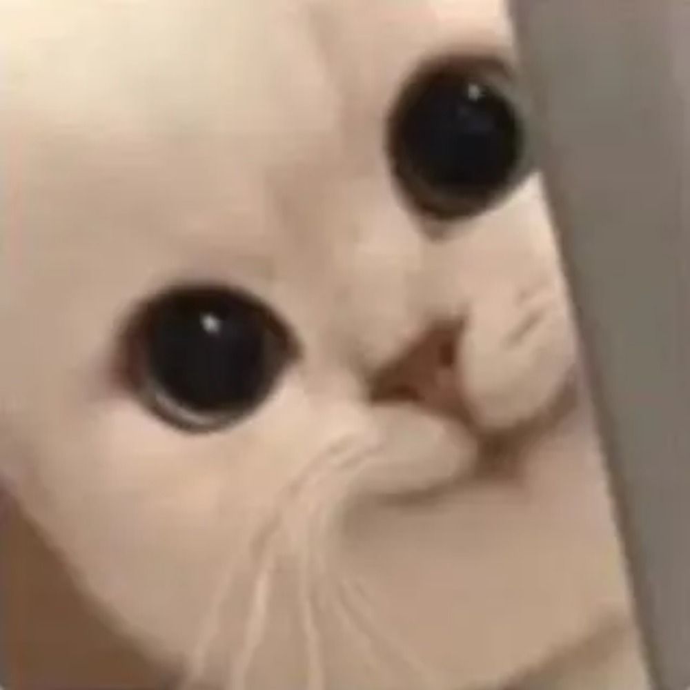 Moori