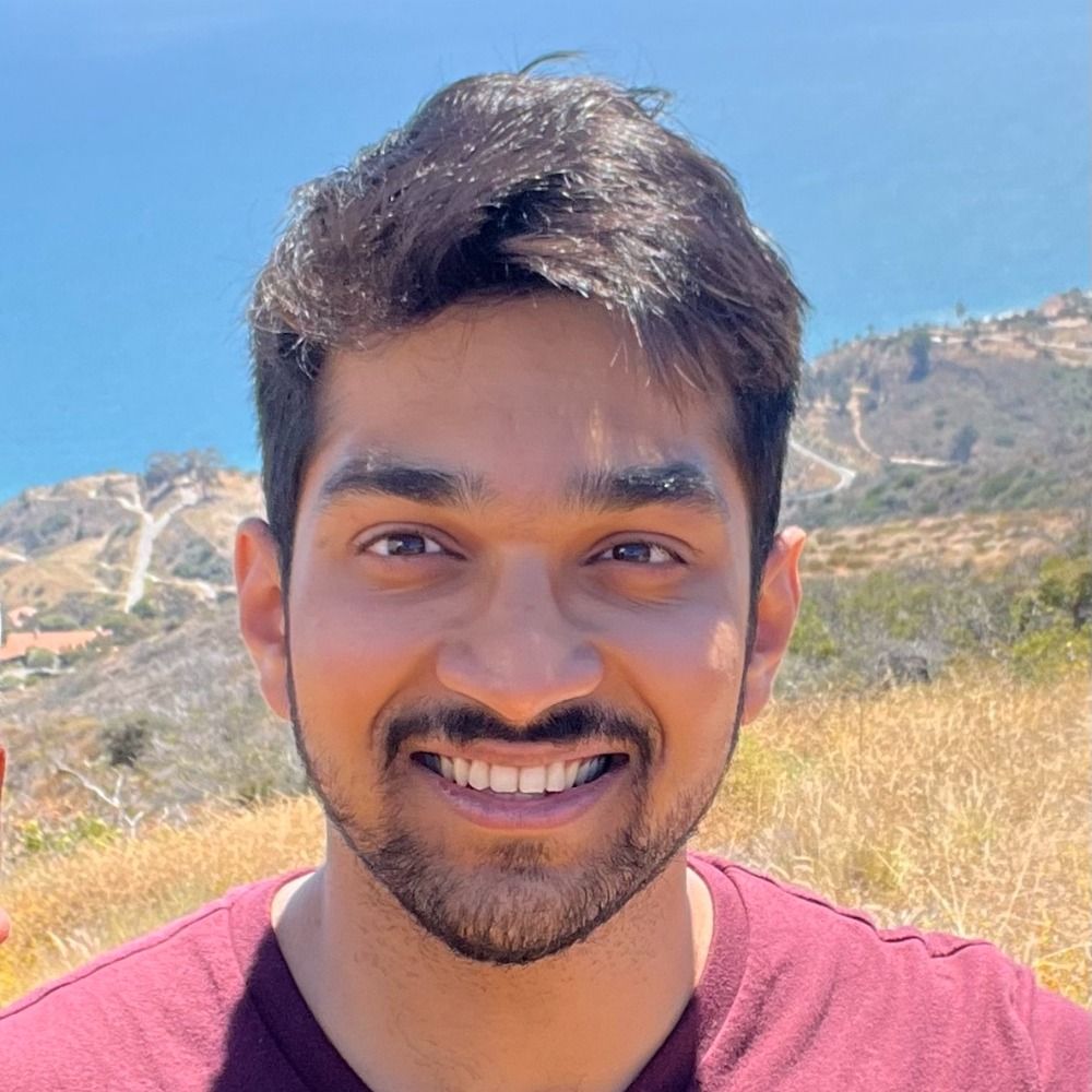Swapneel M.