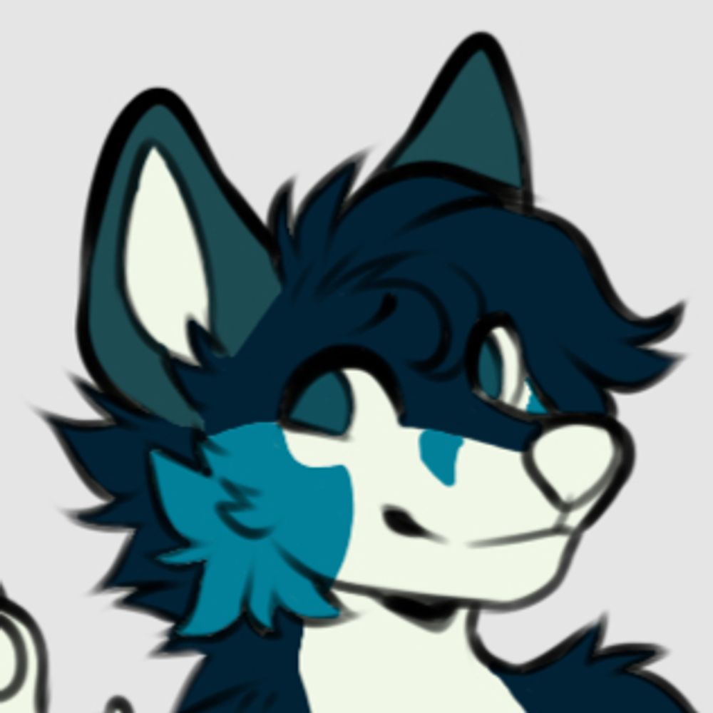  Shiba