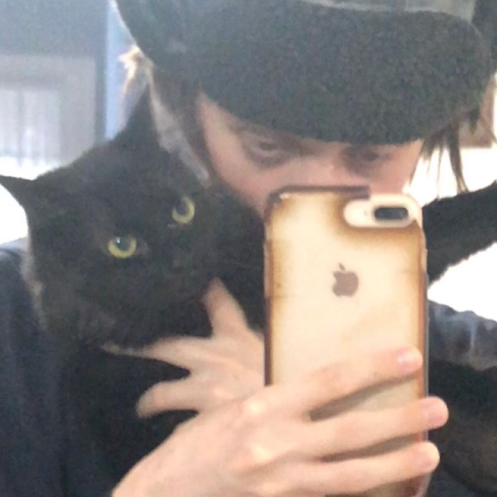 bandit, not evil