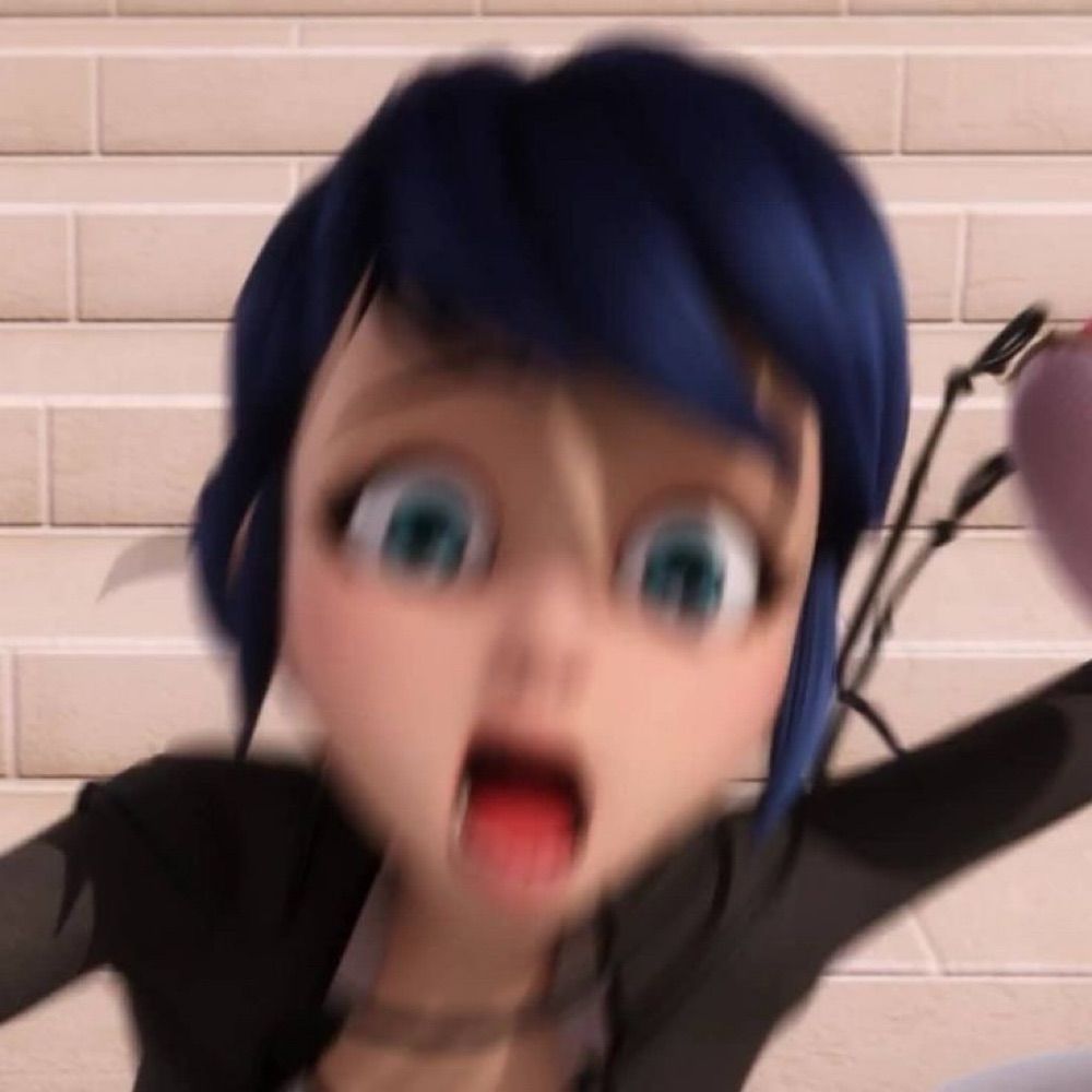LadyBug