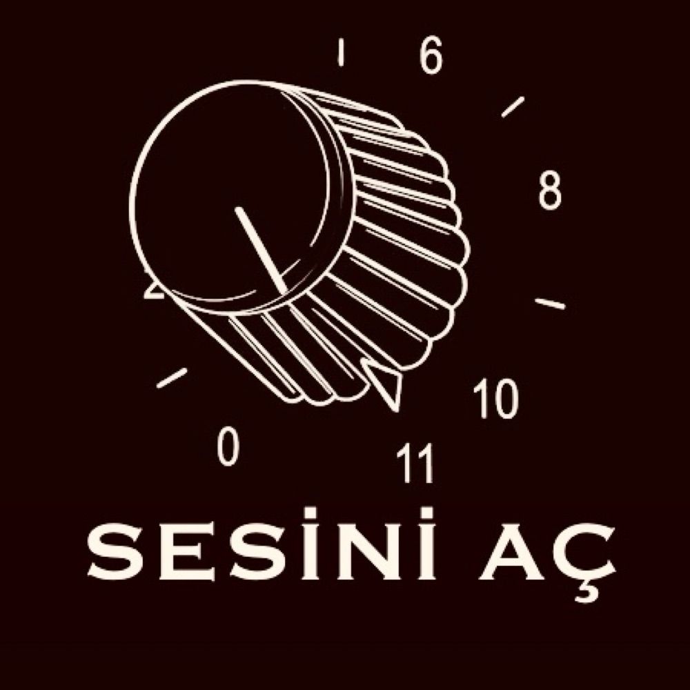 Sesini Aç