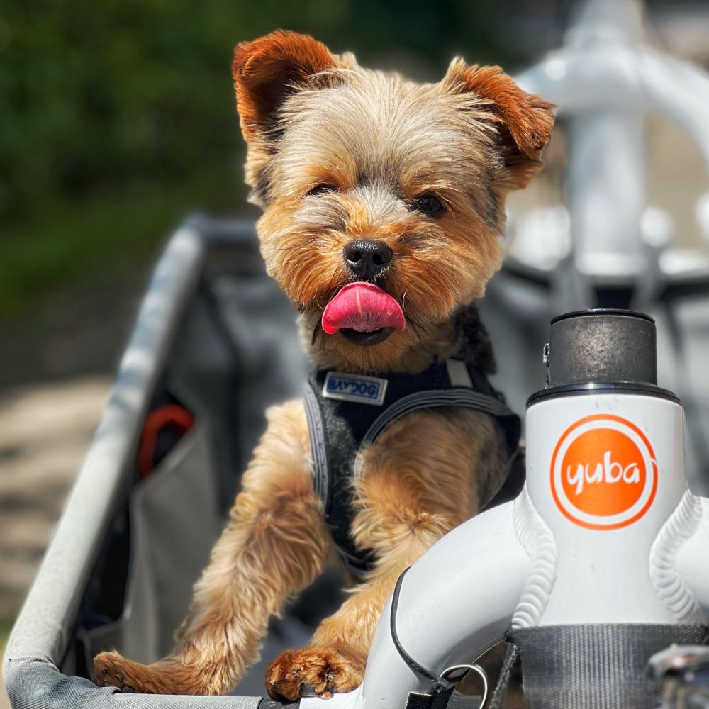 Have Bike, Will Cargo