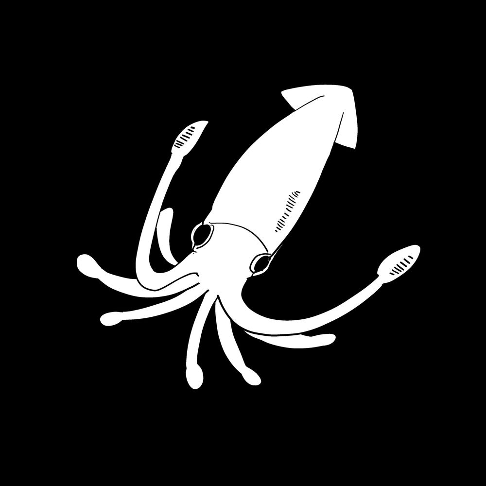 ﾀﾞｲｵｰ🦑
