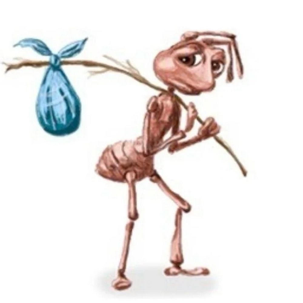 bindle ant