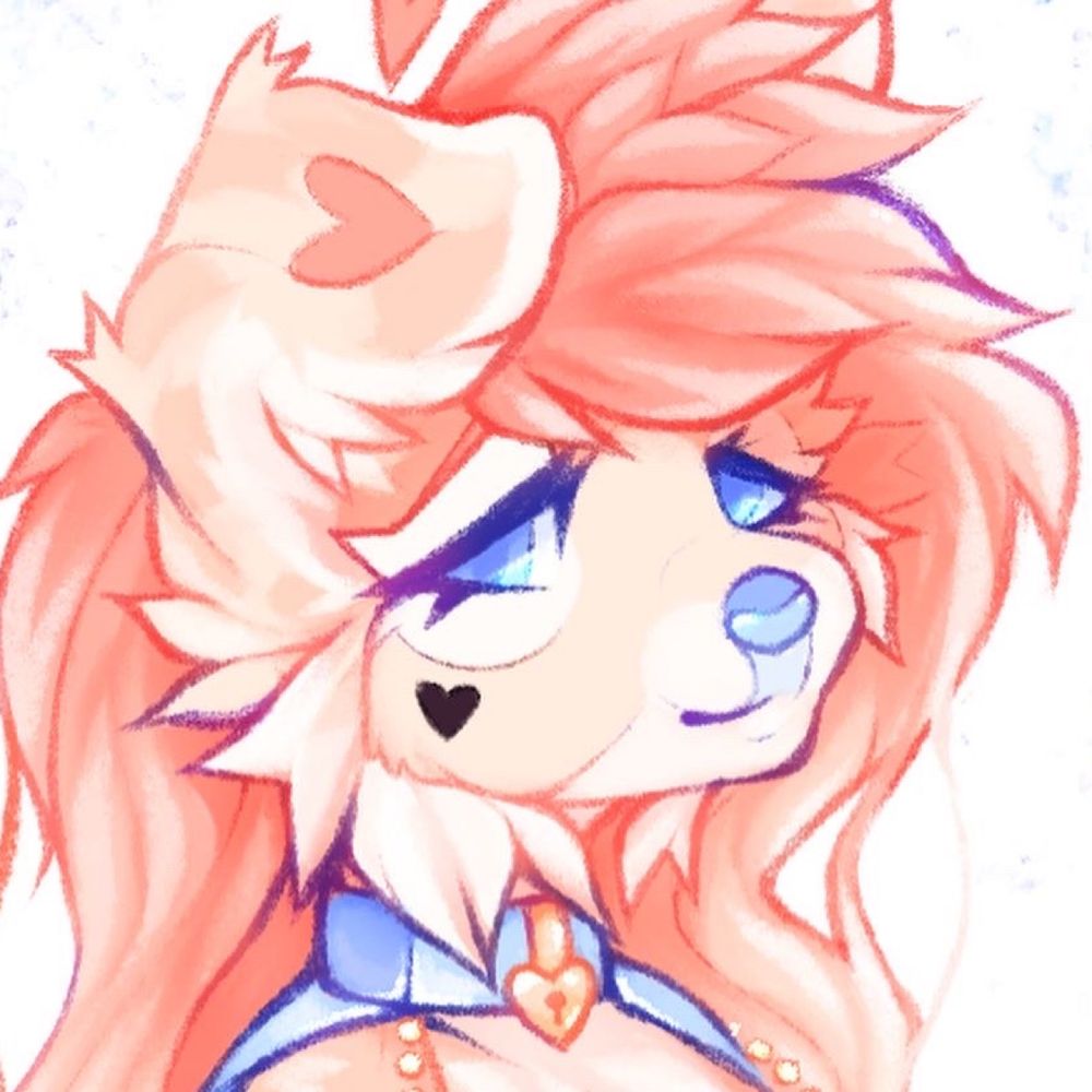 ♡ Kitz ♡