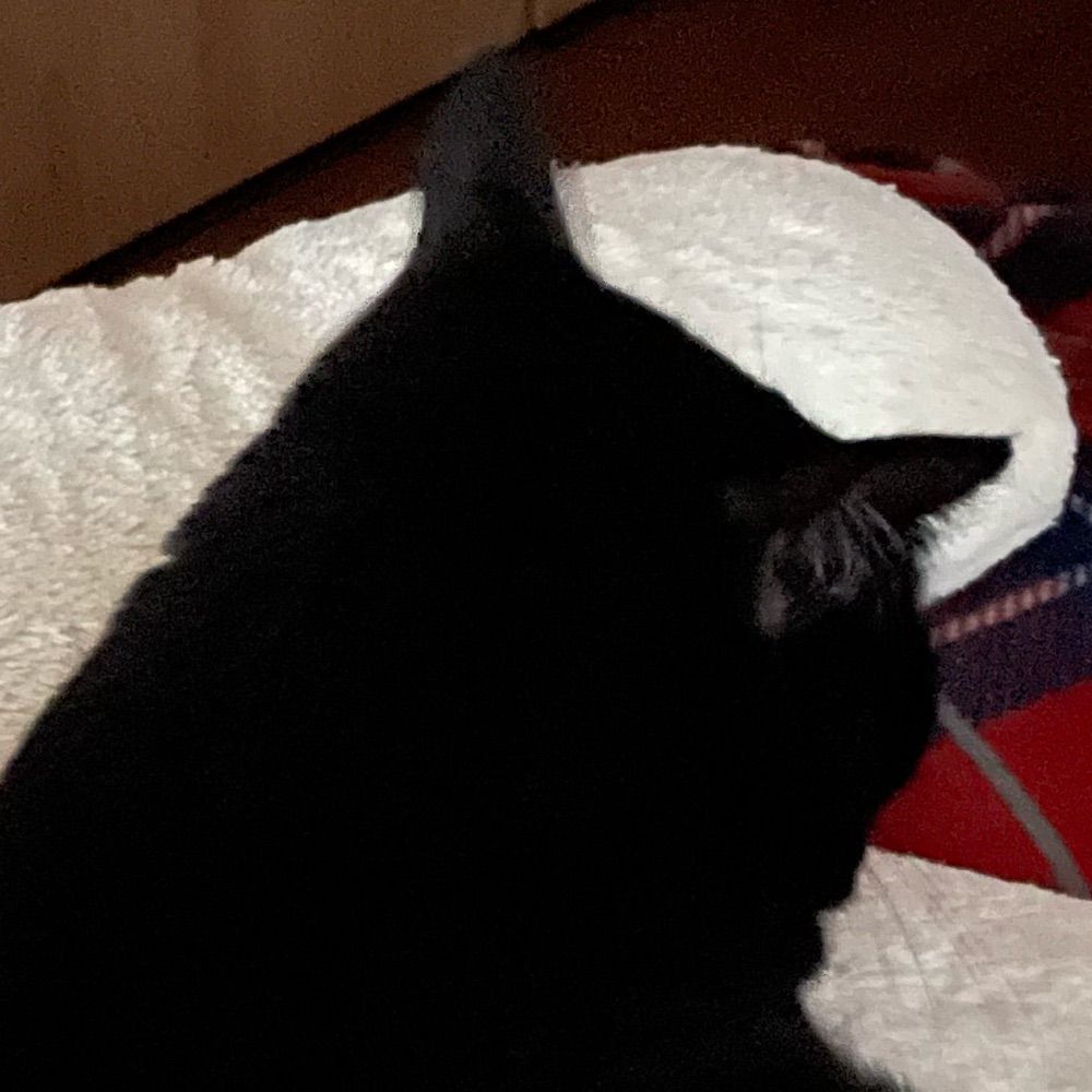 オムオム