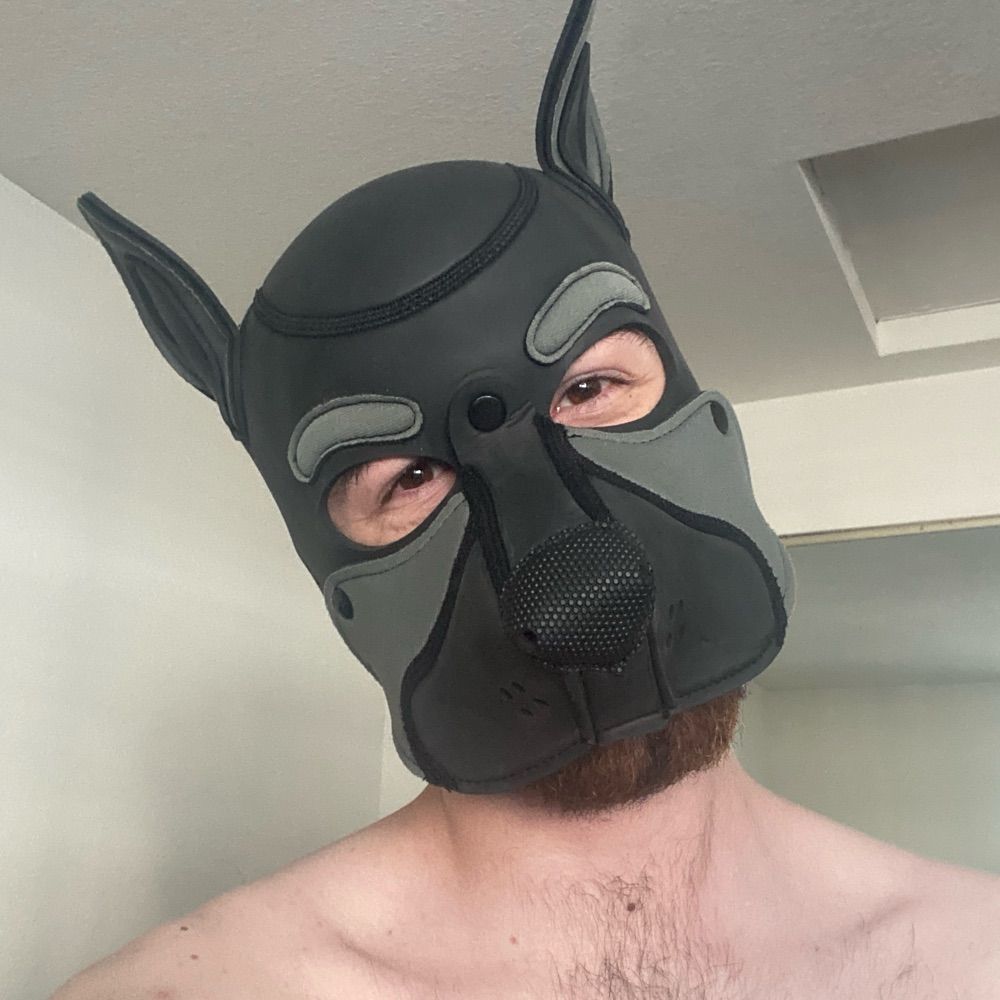 Pup Dean