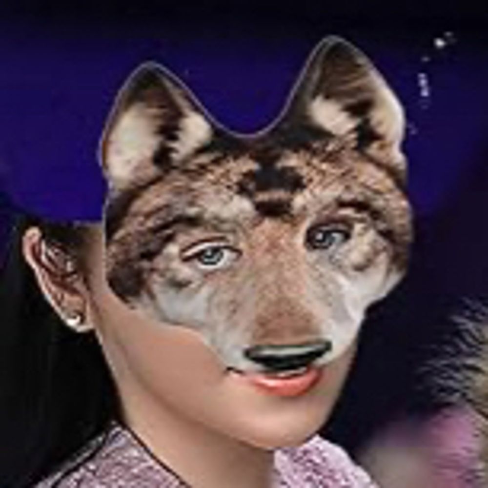 rinleycoyote.bsky.social profile picture