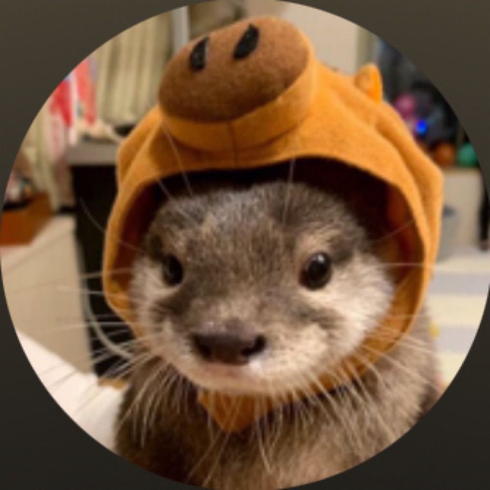 OtterPig
