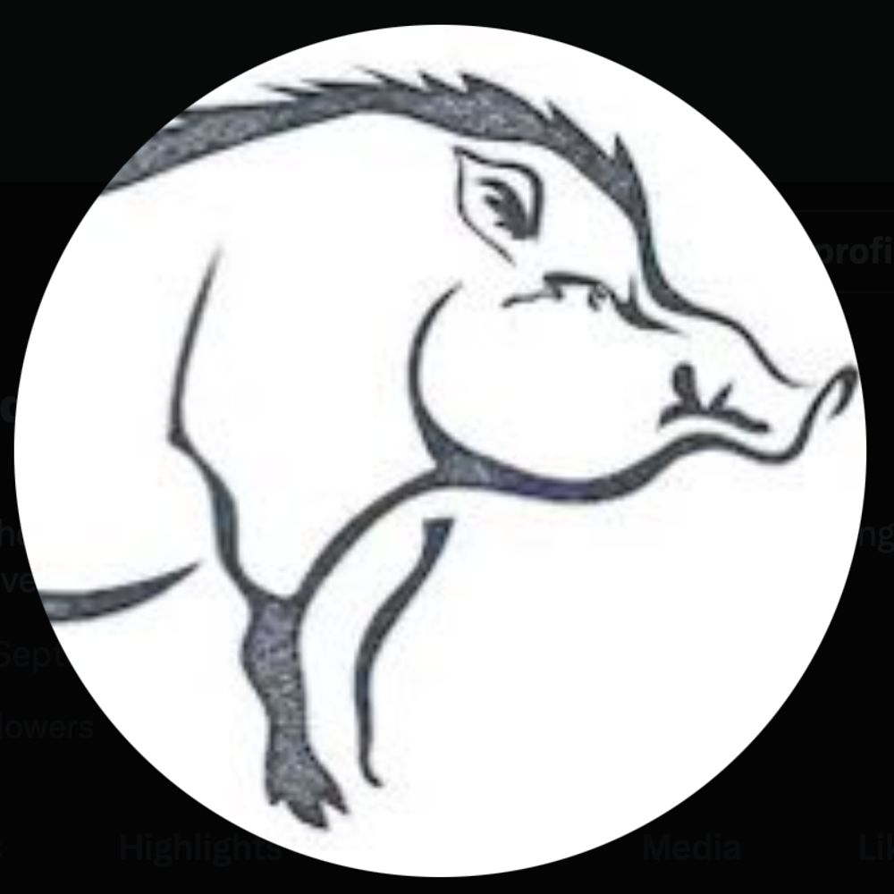 Boar Thoughts