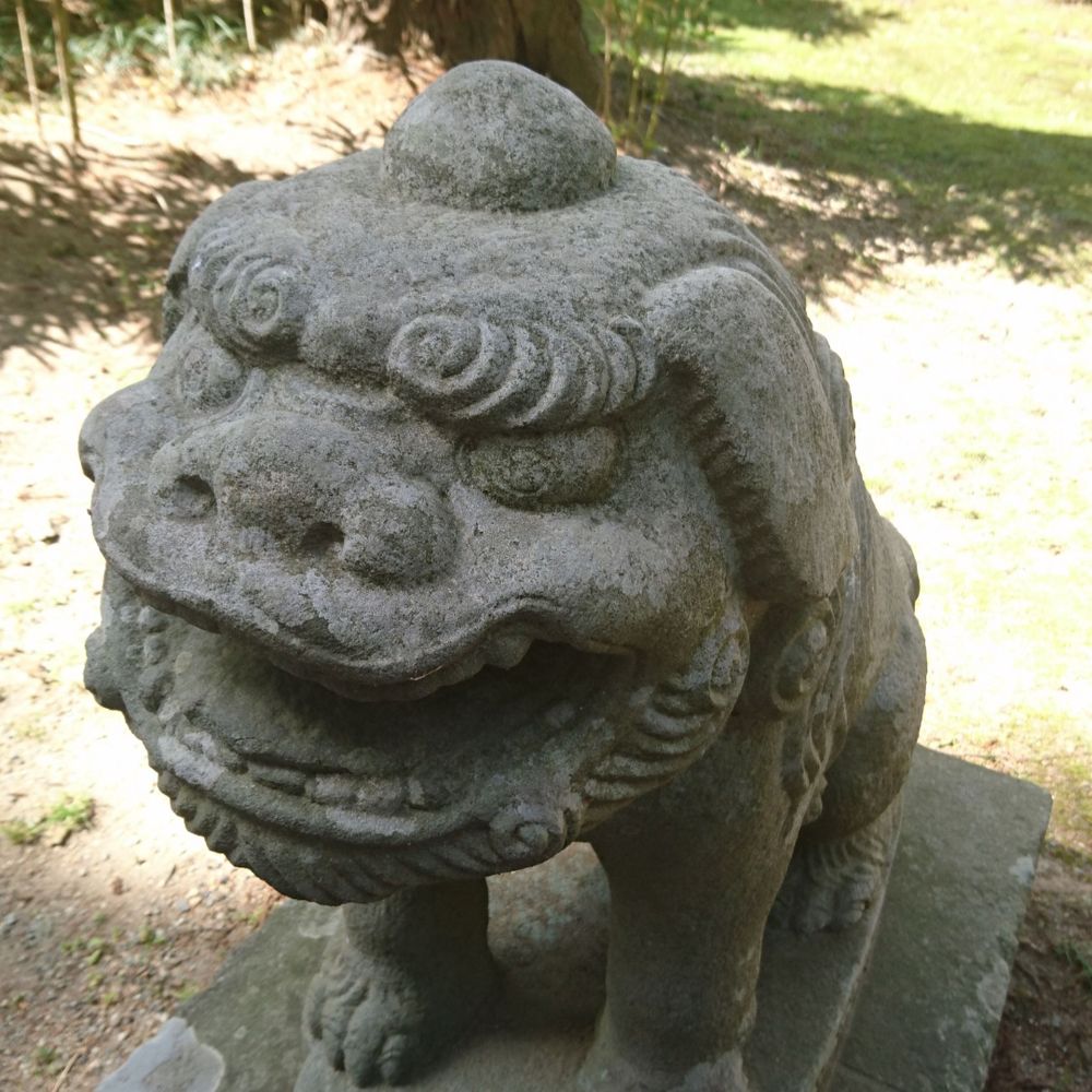きみボク