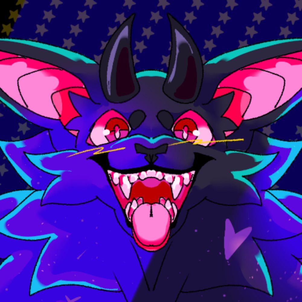 ‧₊˚  Zenith ‧₊˚