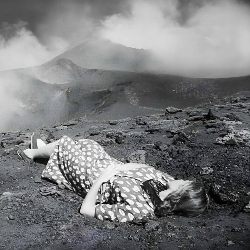 yearner herzog