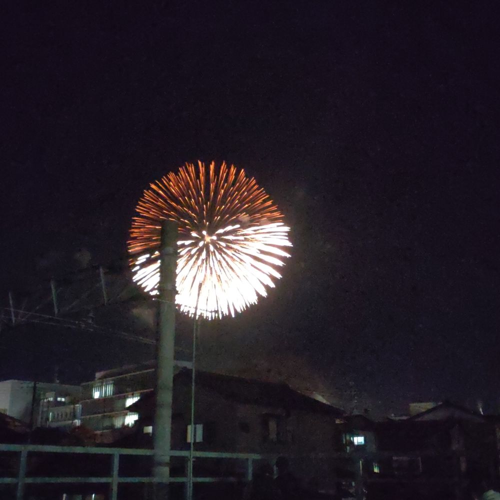 あやら。