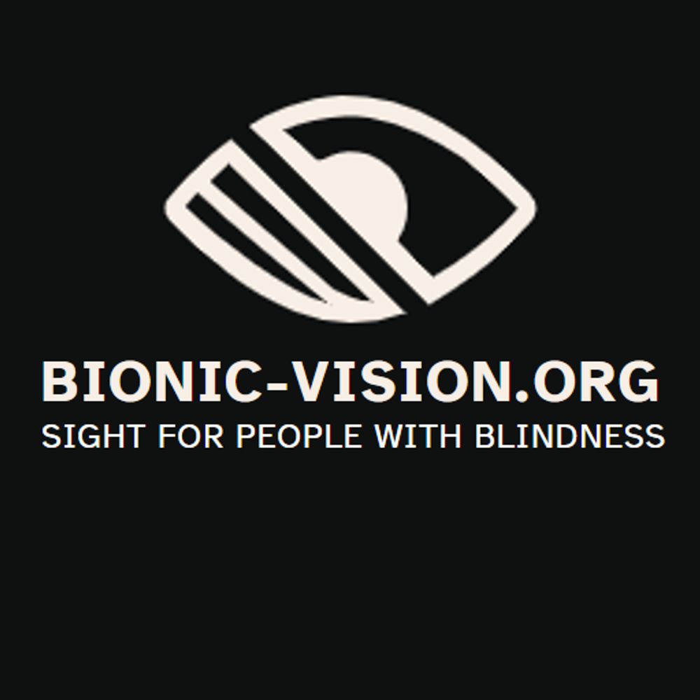 bionic-vision.org