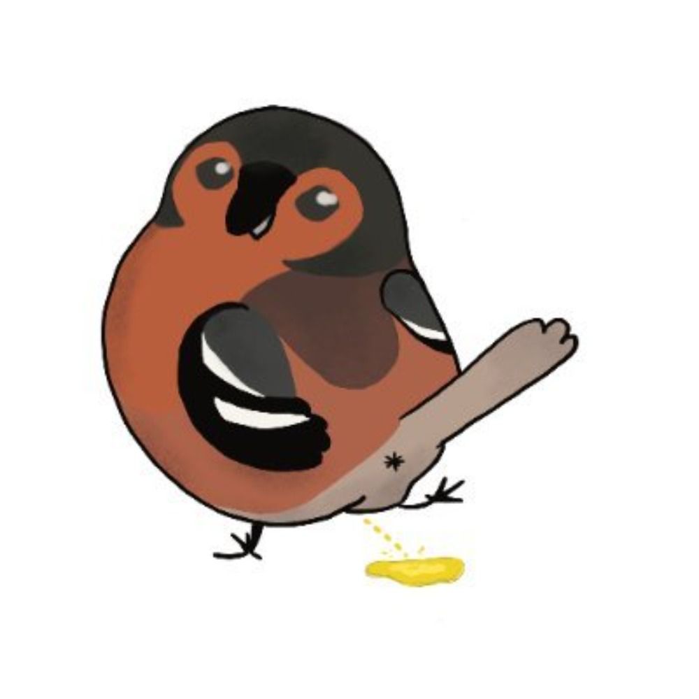 bakava
