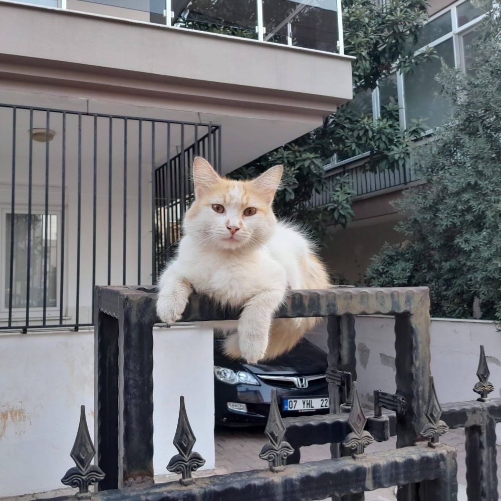 Berna Didem