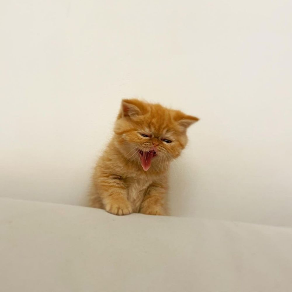 zzzzz