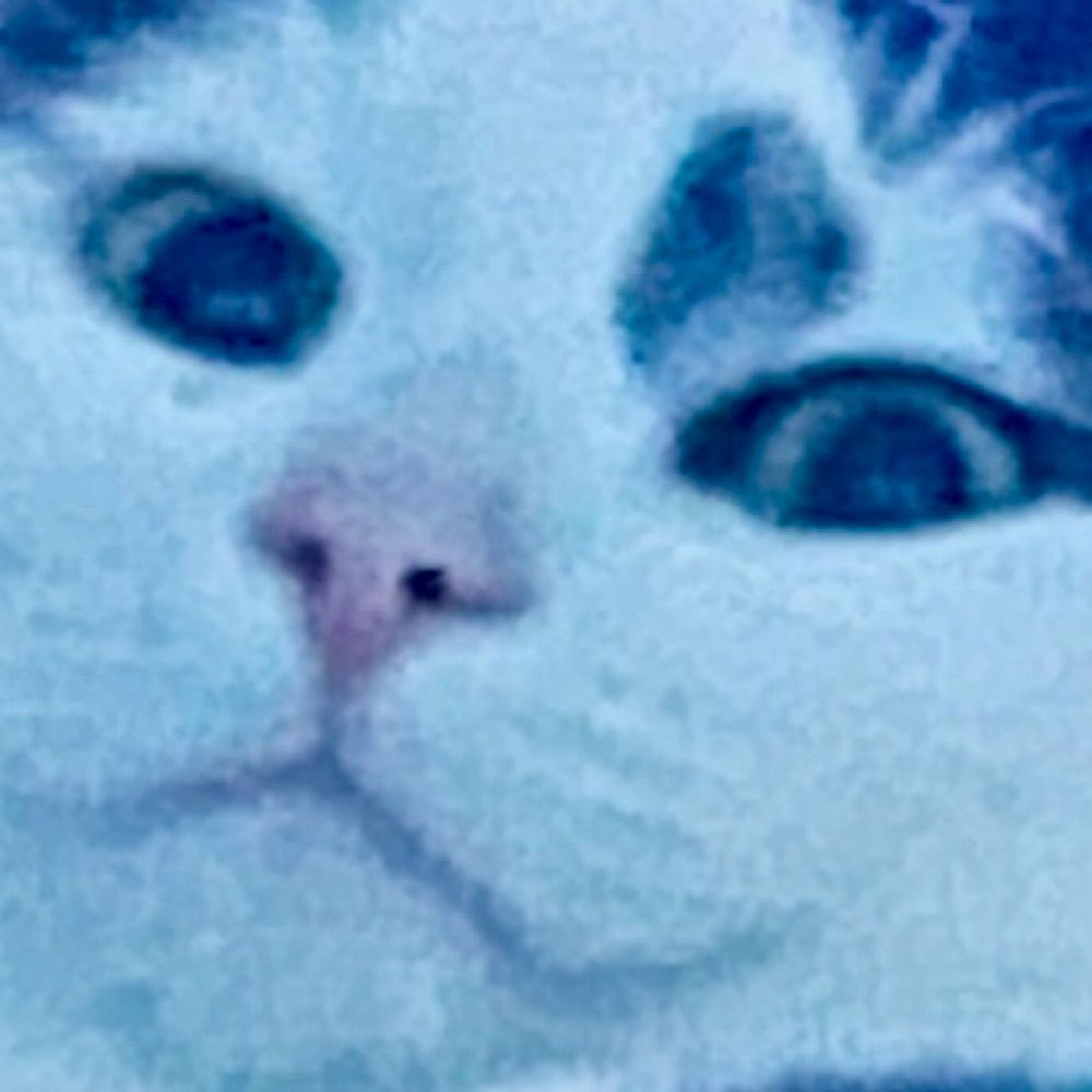 Deanna T ⟭⟬ ⟬⟭
