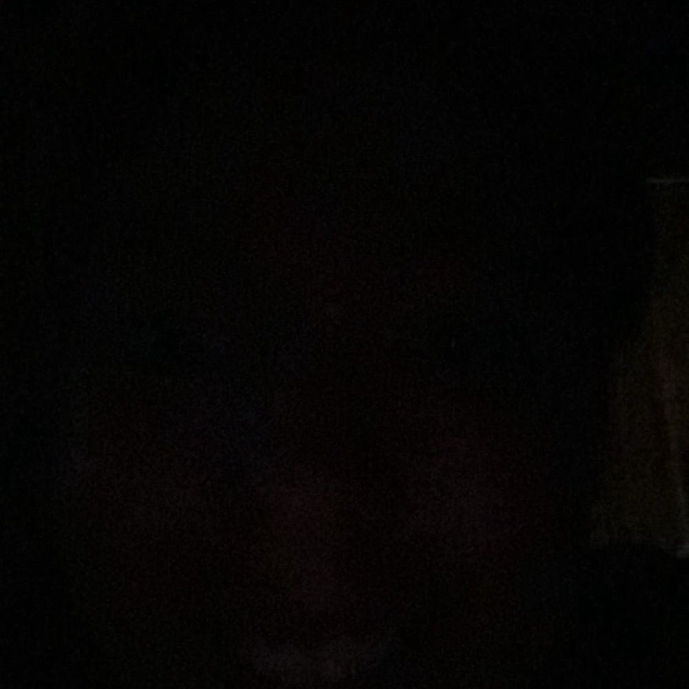 BaoShadow