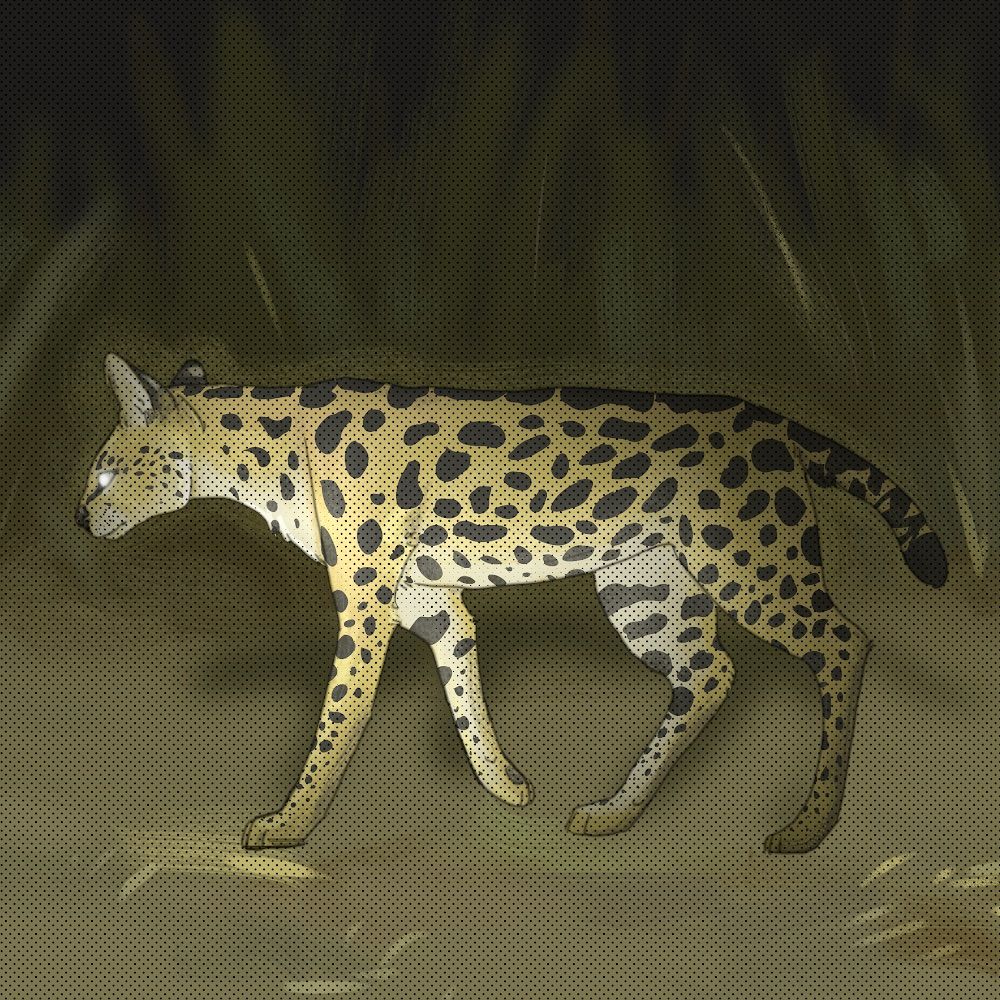 stray