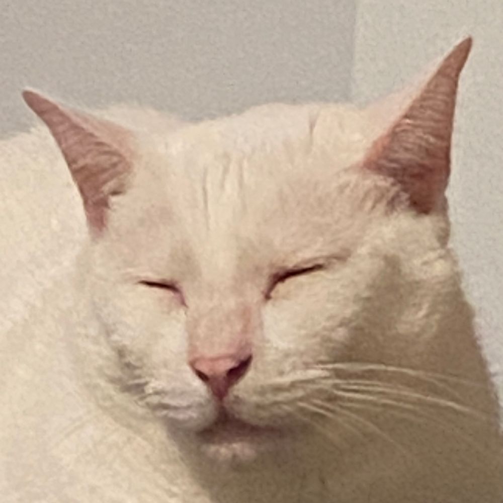 ぜろ