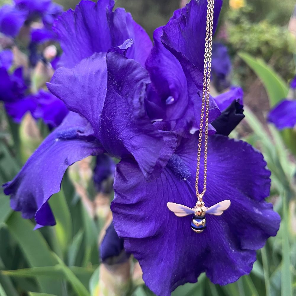 iRis 🐝 🧲🌷🧵⛈👸🏾🤴🏻