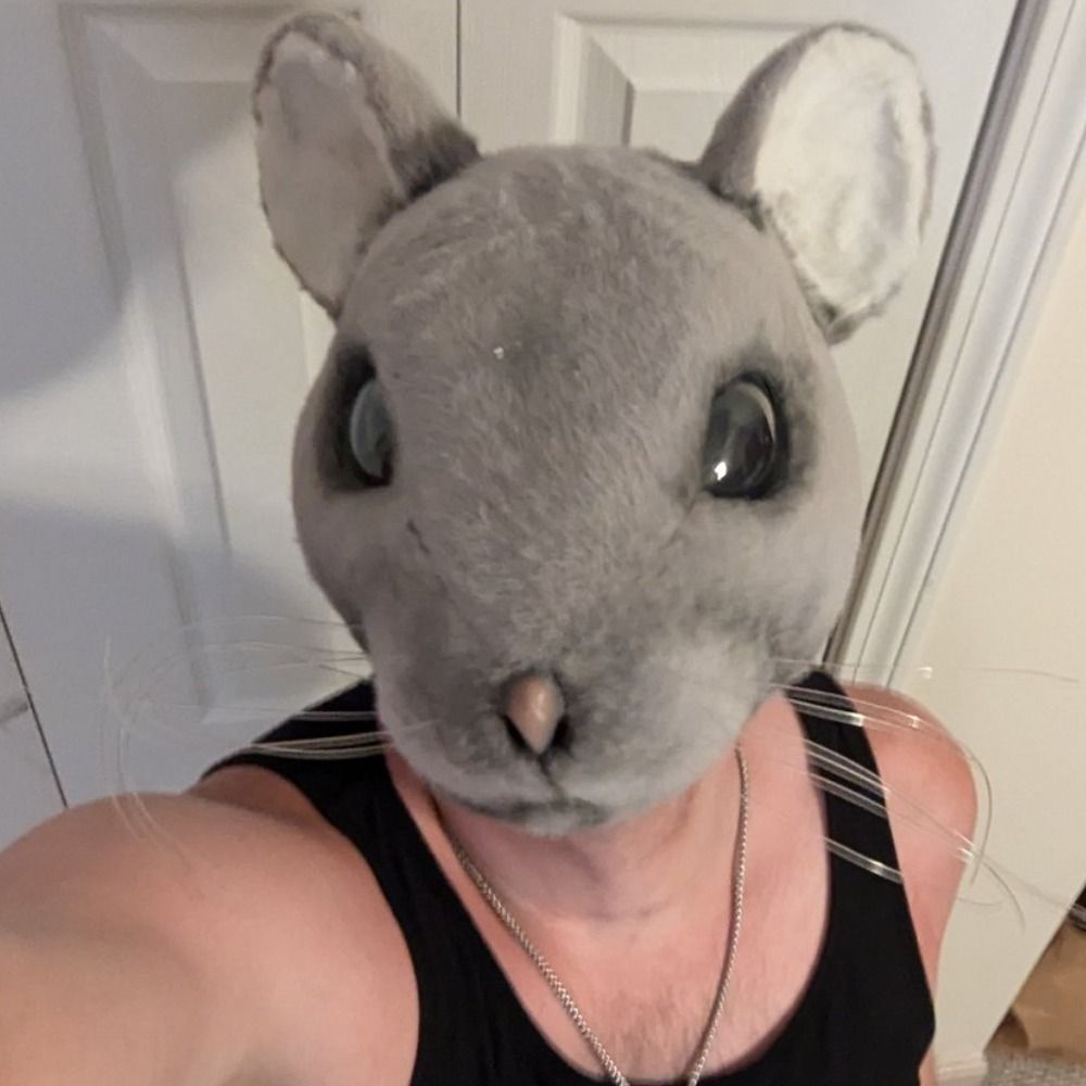 Rogue Rat 🐀's avatar