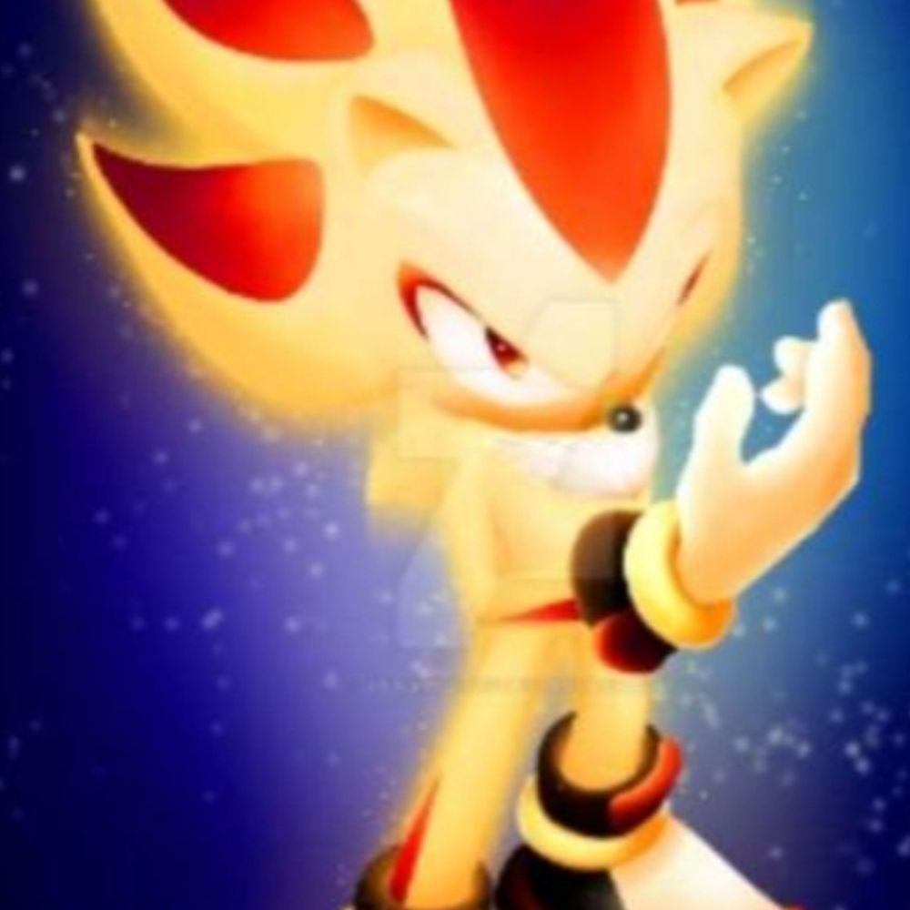 N&S Super Shadow [Nintendo&Sega]