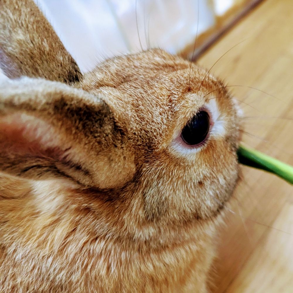 タマちゃんだよ！