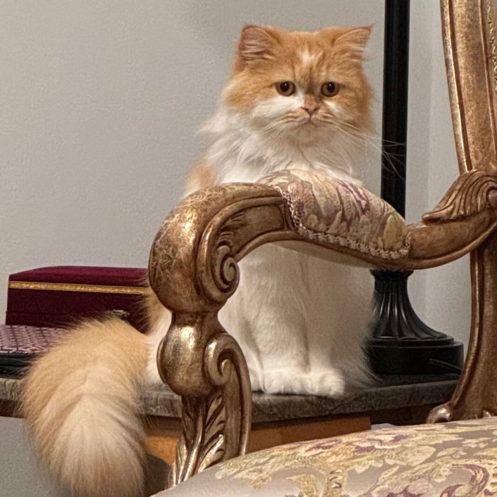 Ibrahim