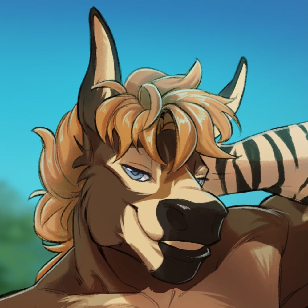 donk