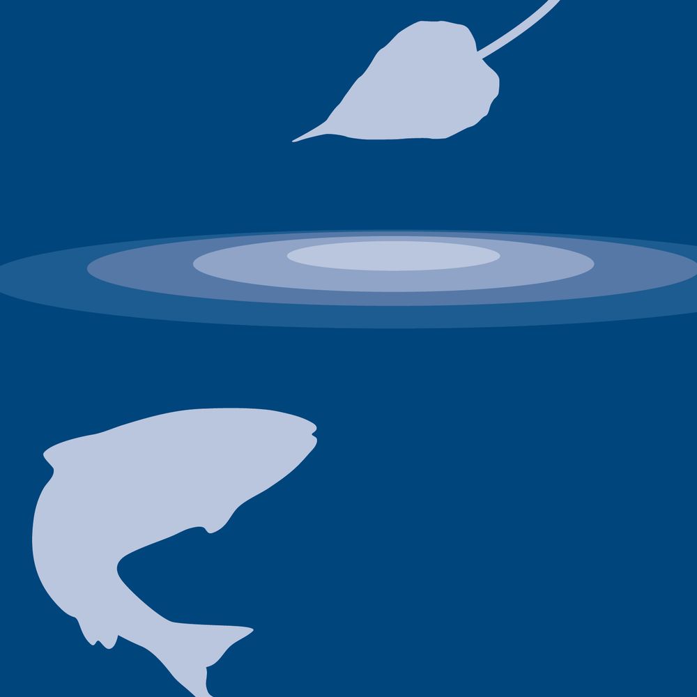 Center for Watershed Sciences