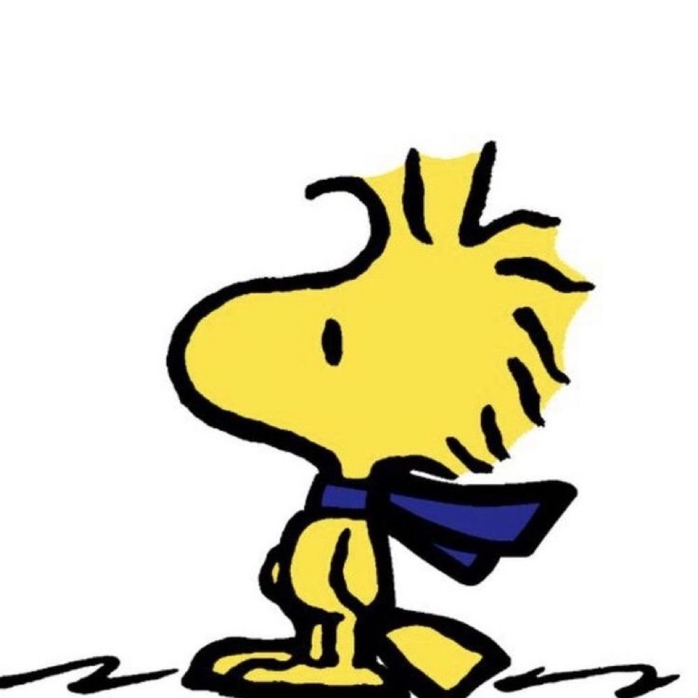 Jonzinho ⭐️