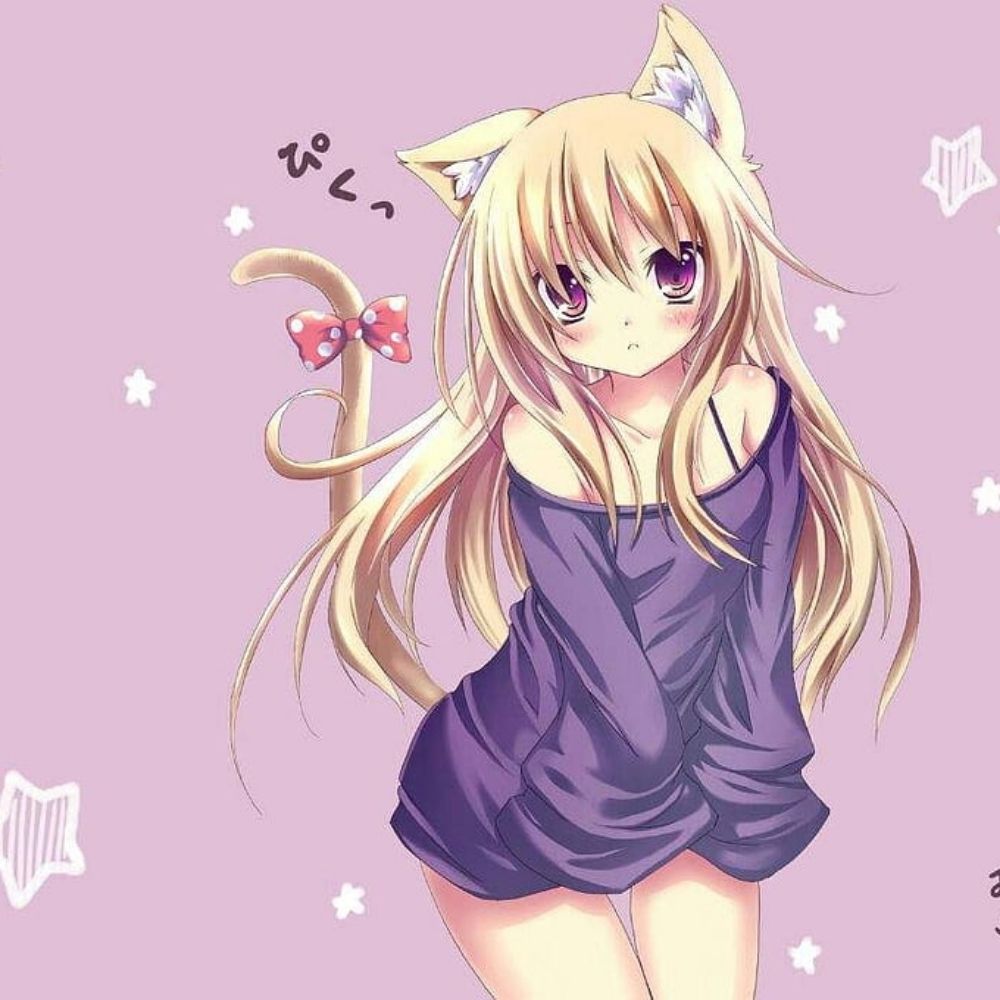 かわいい猫少女🐾🩷💜🎀