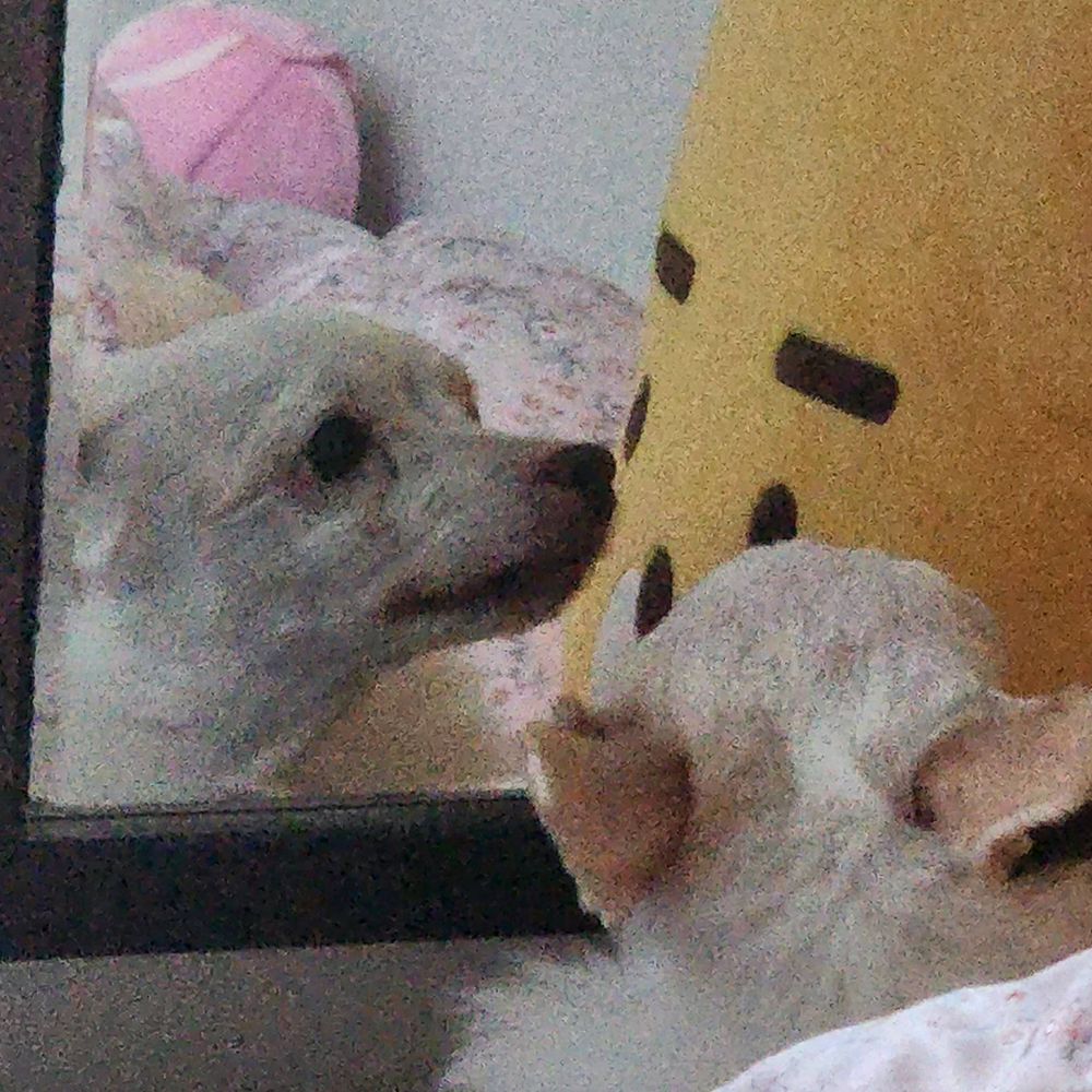 상콤