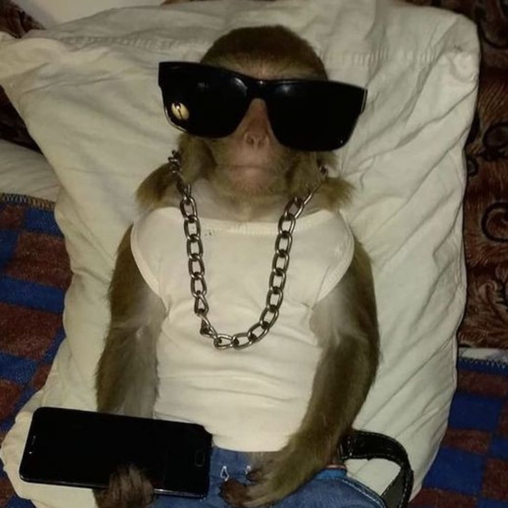 Mupy (aquele suco lá)