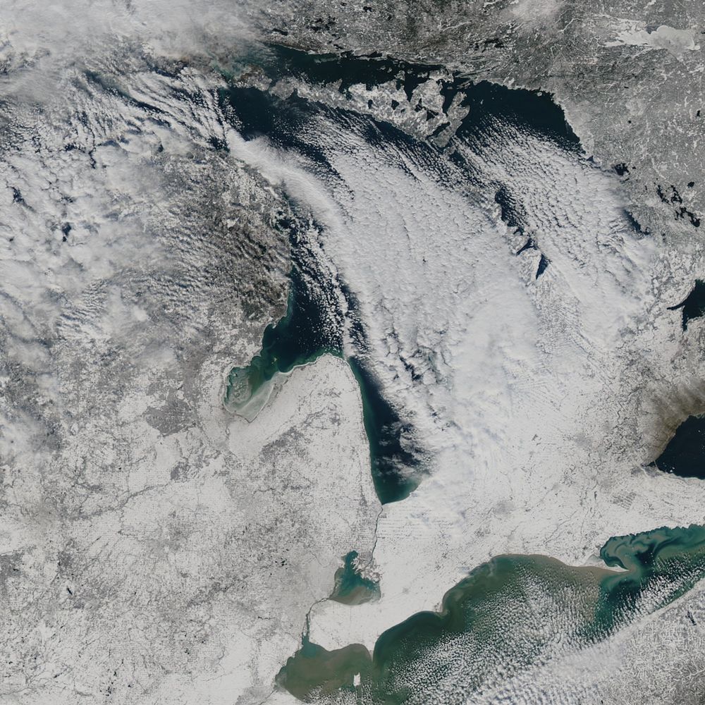Lake Huron! Live!